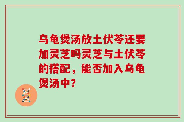 乌龟煲汤放土伏苓还要加灵芝吗灵芝与土伏苓的搭配，能否加入乌龟煲汤中？