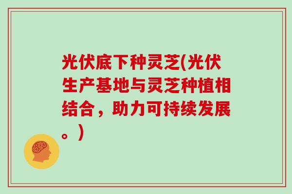 光伏底下种灵芝(光伏生产基地与灵芝种植相结合,助力可持续发展。)