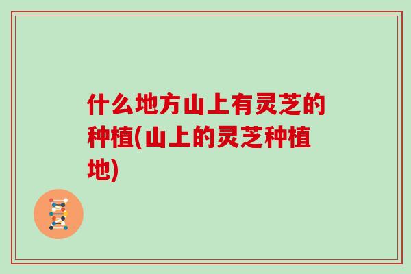什么地方山上有灵芝的种植(山上的灵芝种植地)
