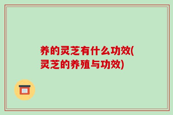 养的灵芝有什么功效(灵芝的养殖与功效)