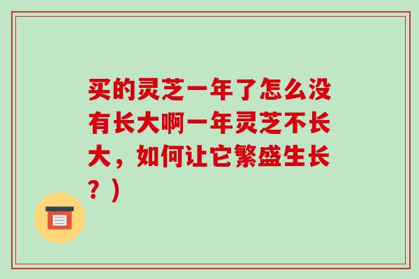 买的灵芝一年了怎么没有长大啊一年灵芝不长大,如何让它繁盛生长?)