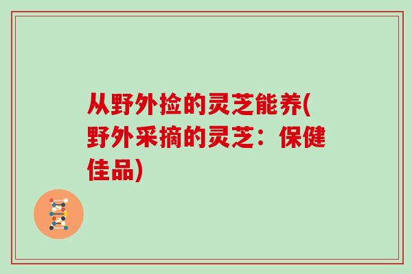 从野外捡的灵芝能养(野外采摘的灵芝:保健佳品)