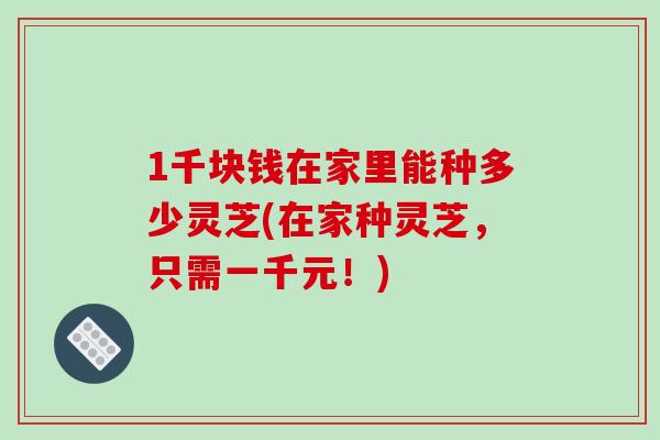 1千块钱在家里能种多少灵芝(在家种灵芝,只需一千元!)