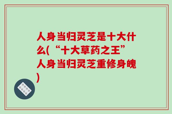 人身当归灵芝是十大什么(“十大草药之王”人身当归灵芝重修身魄)