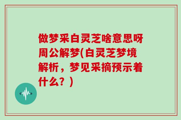 做梦采白灵芝啥意思呀周公解梦(白灵芝梦境解析，梦见采摘预示着什么？)
