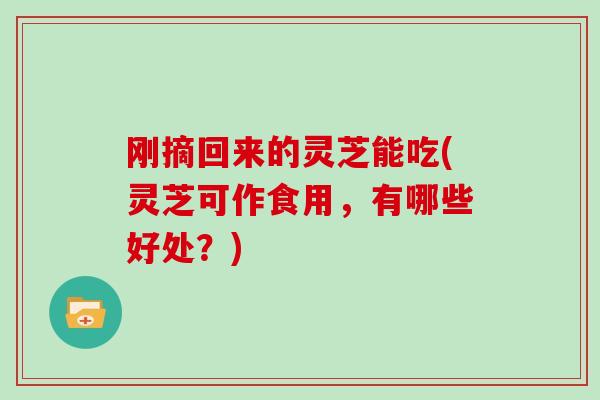 刚摘回来的灵芝能吃(灵芝可作食用,有哪些好处?)