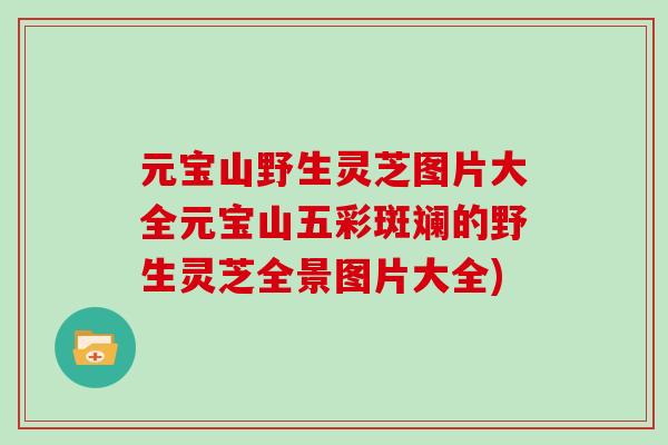 元宝山野生灵芝图片大全元宝山五彩斑斓的野生灵芝全景图片大全)