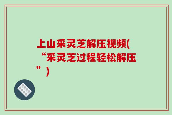 上山采灵芝解压视频(“采灵芝过程轻松解压”)