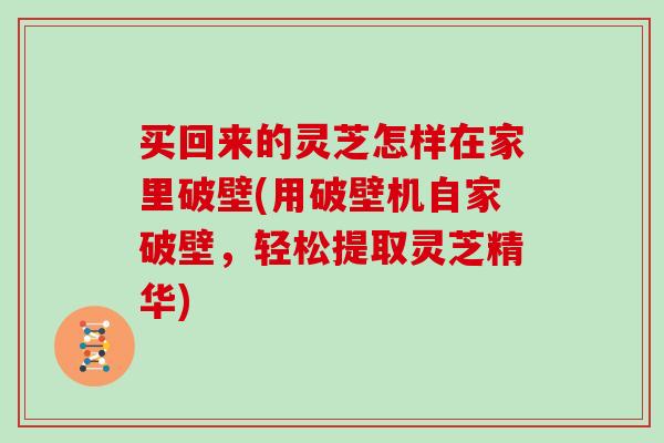 买回来的灵芝怎样在家里破壁(用破壁机自家破壁，轻松提取灵芝精华)
