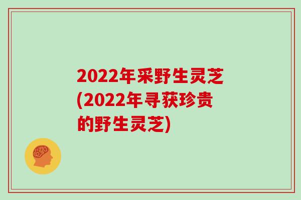 2022年采野生灵芝(2022年寻获珍贵的野生灵芝)