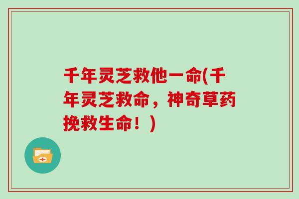 千年灵芝救他一命(千年灵芝救命，神奇草药挽救生命！)