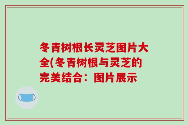 冬青树根长灵芝图片大全(冬青树根与灵芝的完美结合:图片展示