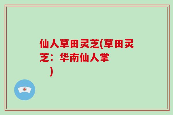 仙人草田灵芝(草田灵芝:华南仙人掌 )