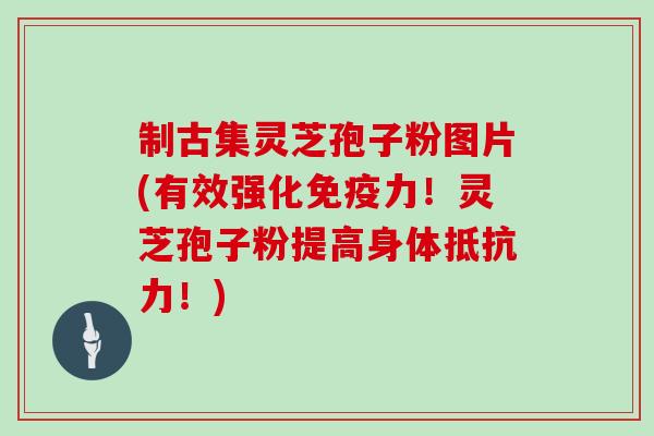 制古集灵芝孢子粉图片(有效强化免疫力!灵芝孢子粉提高身体抵抗力!)