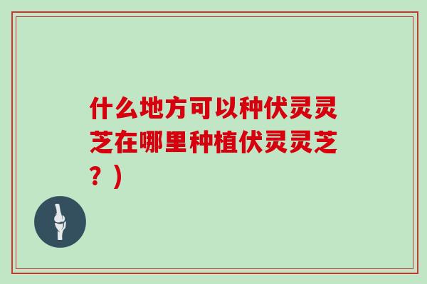什么地方可以种伏灵灵芝在哪里种植伏灵灵芝?)