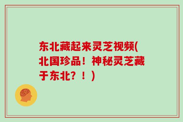 东北藏起来灵芝视频(北国珍品!神秘灵芝藏于东北?!)
