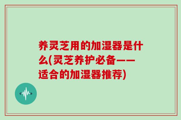养灵芝用的加湿器是什么(灵芝养护必备——适合的加湿器推荐)