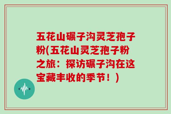 五花山碾子沟灵芝孢子粉(五花山灵芝孢子粉之旅：探访碾子沟在这宝藏丰收的季节！)