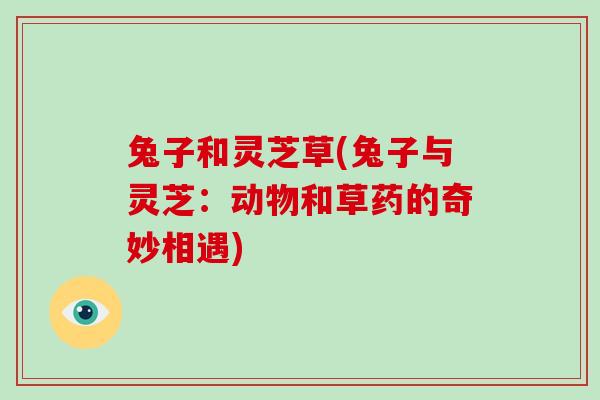 兔子和灵芝草(兔子与灵芝:动物和草药的奇妙相遇)