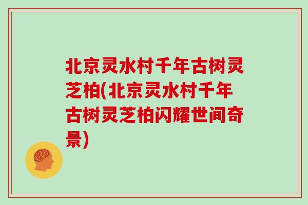 北京灵水村千年古树灵芝柏(北京灵水村千年古树灵芝柏闪耀世间奇景)
