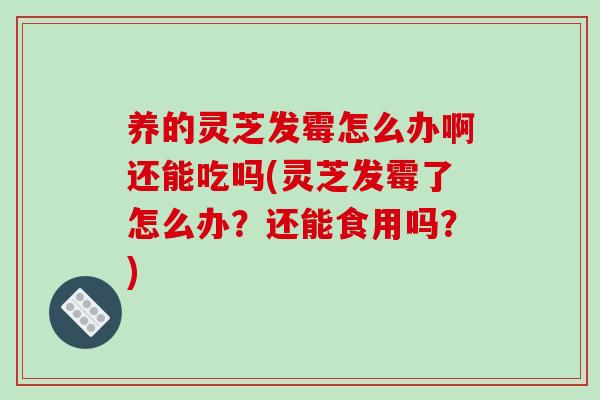 养的灵芝发霉怎么办啊还能吃吗(灵芝发霉了怎么办？还能食用吗？)