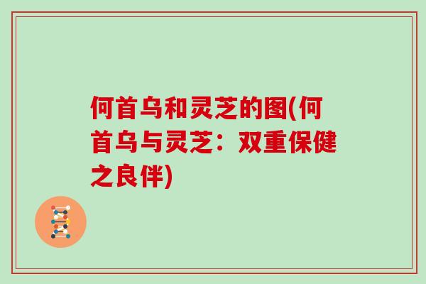 何首乌和灵芝的图(何首乌与灵芝:双重保健之良伴)