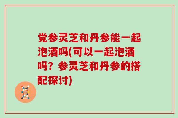 党参灵芝和丹参能一起泡酒吗(可以一起泡酒吗?参灵芝和丹参的搭配探讨)