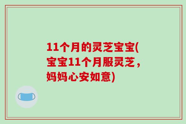 11个月的灵芝宝宝(宝宝11个月服灵芝,妈妈心安如意)