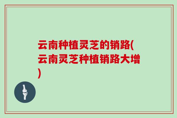 云南种植灵芝的销路(云南灵芝种植销路大增)