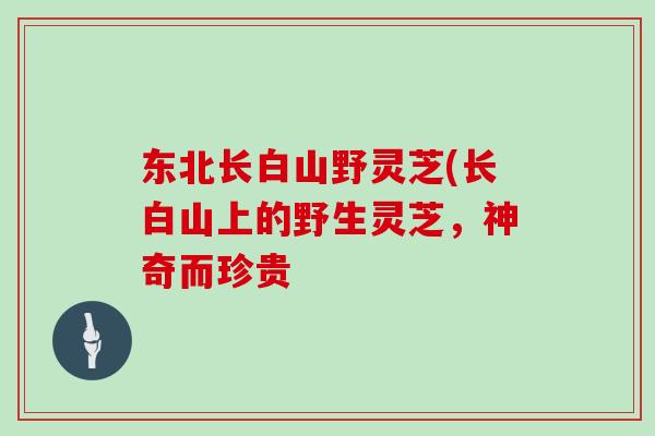 东北长白山野灵芝(长白山上的野生灵芝,神奇而珍贵