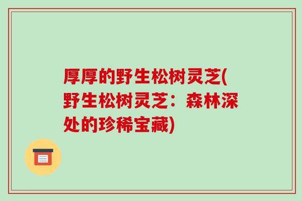 厚厚的野生松树灵芝(野生松树灵芝：森林深处的珍稀宝藏)