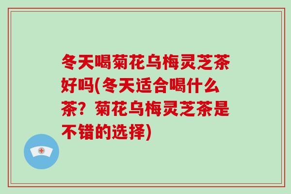 冬天喝菊花乌梅灵芝茶好吗(冬天适合喝什么茶?菊花乌梅灵芝茶是不错的选择)
