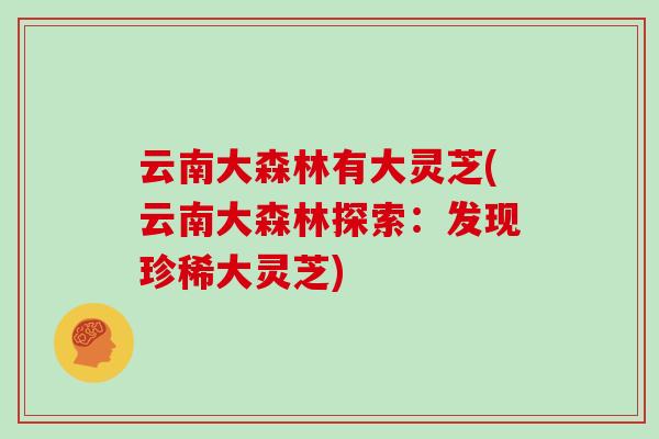 云南大森林有大灵芝(云南大森林探索:发现珍稀大灵芝)