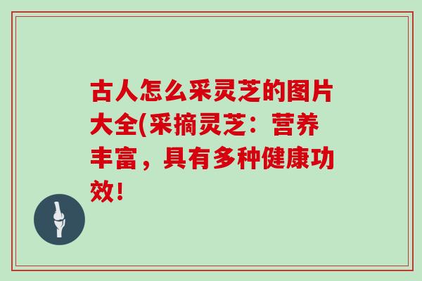 古人怎么采灵芝的图片大全(采摘灵芝：营养丰富，具有多种健康功效！
