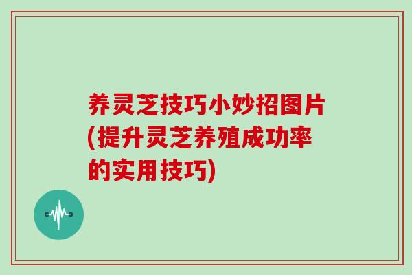 养灵芝技巧小妙招图片(提升灵芝养殖成功率的实用技巧)