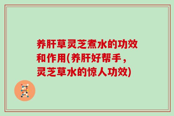 养肝草灵芝煮水的功效和作用(养肝好帮手,灵芝草水的惊人功效)