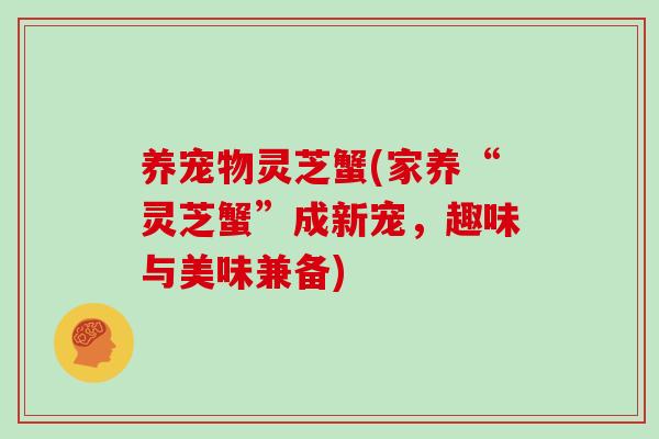 养宠物灵芝蟹(家养“灵芝蟹”成新宠,趣味与美味兼备)