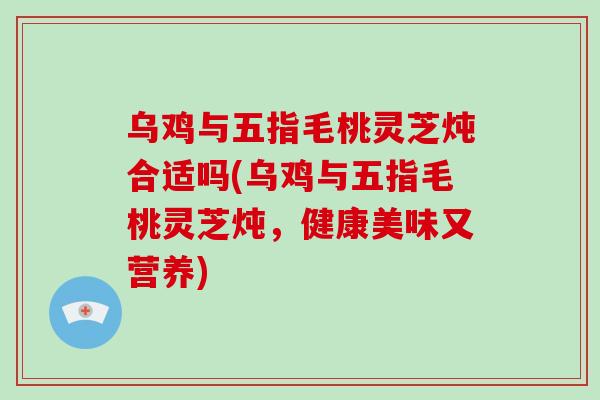 乌鸡与五指毛桃灵芝炖合适吗(乌鸡与五指毛桃灵芝炖,健康美味又营养)