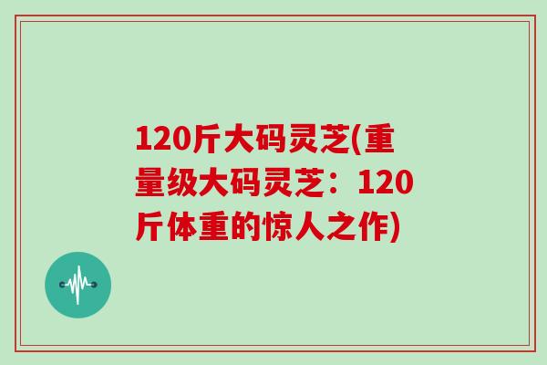 120斤大码灵芝(重量级大码灵芝：120斤体重的惊人之作)