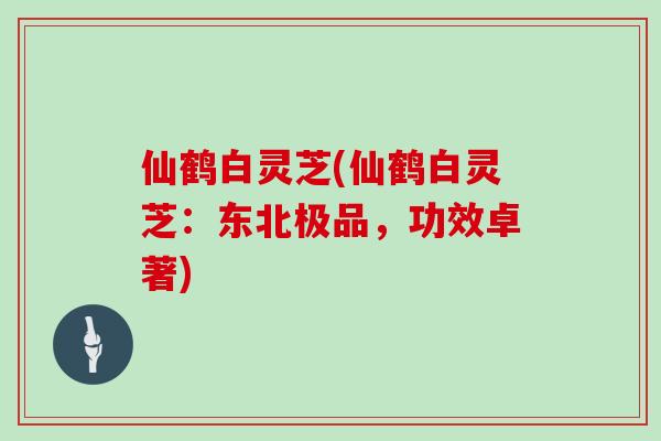 仙鹤白灵芝(仙鹤白灵芝:东北极品,功效卓著)