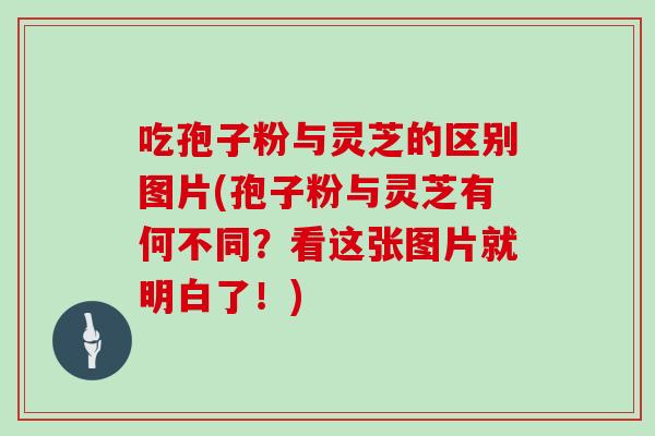 吃孢子粉与灵芝的区别图片(孢子粉与灵芝有何不同？看这张图片就明白了！)