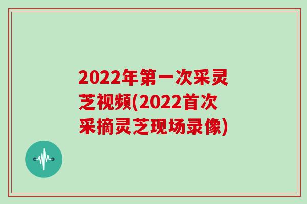 2022年第一次采灵芝视频(2022首次采摘灵芝现场录像)