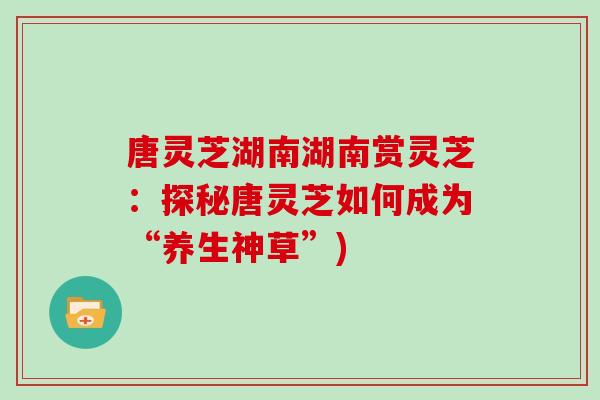 唐灵芝湖南湖南赏灵芝:探秘唐灵芝如何成为“养生神草”)