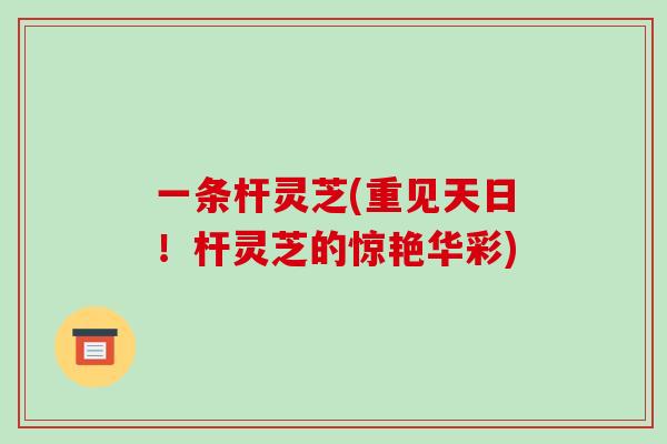 一条杆灵芝(重见天日!杆灵芝的惊艳华彩)