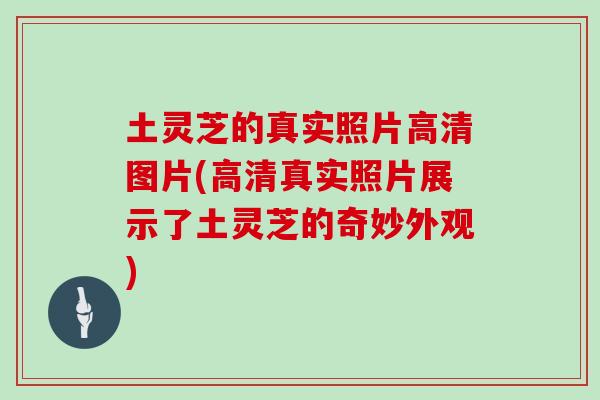 土灵芝的真实照片高清图片(高清真实照片展示了土灵芝的奇妙外观)
