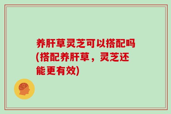 养肝草灵芝可以搭配吗(搭配养肝草,灵芝还能更有效)