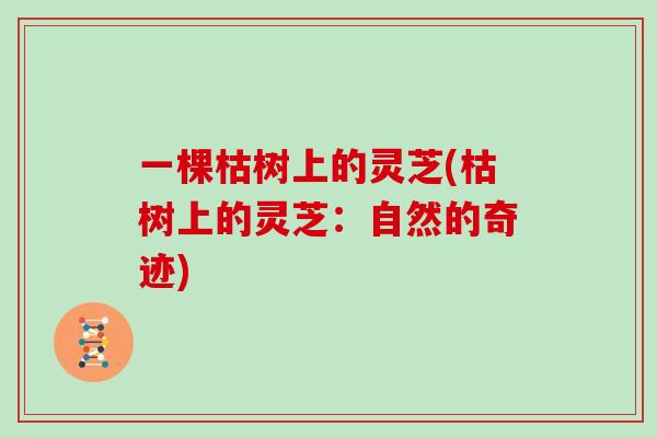 一棵枯树上的灵芝(枯树上的灵芝:自然的奇迹)