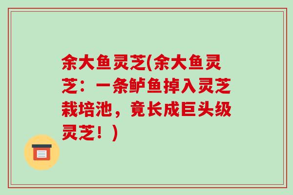余大鱼灵芝(余大鱼灵芝:一条鲈鱼掉入灵芝栽培池,竟长成巨头级灵芝!)