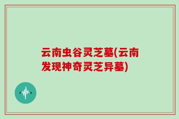 云南虫谷灵芝墓(云南发现神奇灵芝异墓)