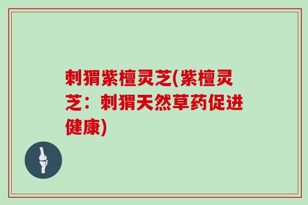 刺猬紫檀灵芝(紫檀灵芝:刺猬天然草药促进健康)